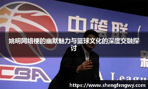 姚明网络梗的幽默魅力与篮球文化的深度交融探讨